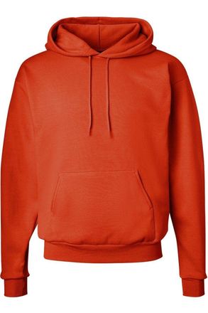Hanes Ecosmart Hooded Sweatshirt