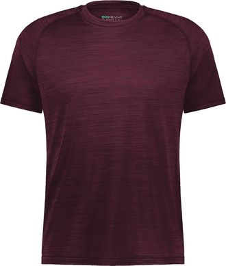 Holloway Sportswear Eco Revive All-Pro T-Shirt