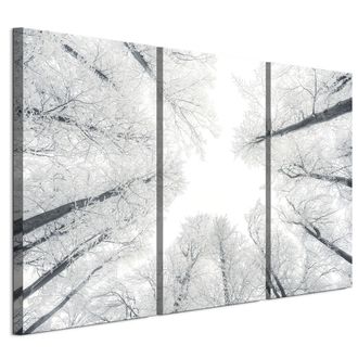 OEM Cuadro Sobre Lienzo Italiano De 90 X 60 Cm, Tr&iacute;ptico - Estilo Escandinavo - Naturaleza Cuadro Sobre Lienzo Italiano De 120 X 80 Cm, Tr&iacute;ptico - Estilo 
