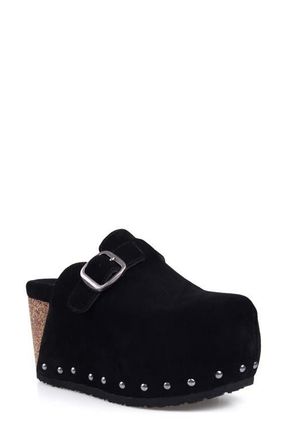 Zigi Soho Cuna Platform Clog in Black Suede at Nordstrom, Size 11