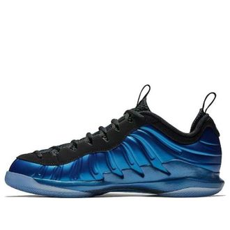 Nike Air Foamposite Vapor X Royal AO8760-500