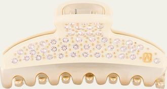 Alexandre de Paris Swarovski Crystal Studded Jaw Hair Clip