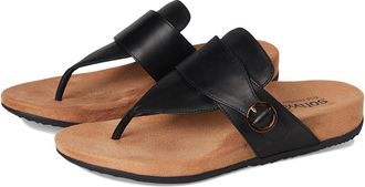 Softwalk Belize Womens Shoes Black : 10.5 M (B), Leather