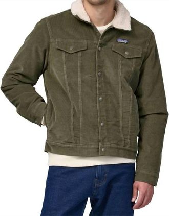 Patagonia Pile-Lined Trucker Jacket In Basin Green