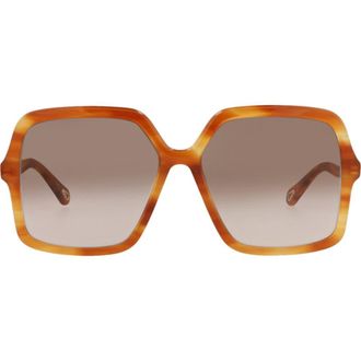 Chlo&eacute; 59mm Butterfly Sunglasses in Havana Havana Brown at Nordstrom Rack
