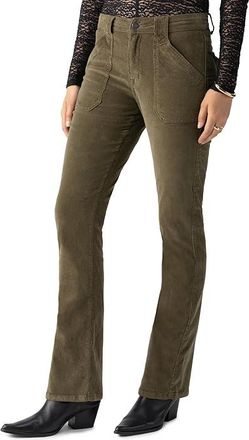 Sanctuary Corduroy Hayden Bootcut Womens Dress Pants Burnt Olive : 31 33.5, Cotton/Spandex
