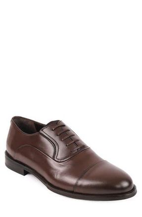 Vella Pais Otto Oxford in Brown at Nordstrom Rack, Size 8