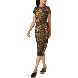 Steve Madden Hailee Print Dress in Hot Spots Print at Nordstrom Rack, Size X-Small