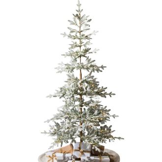 Balsam Hill Frosted Alpine Balsam Fir Pre-Lit Artificial Tree in Led Clear Fairy Light at Nordstrom, Size 7.5Ft