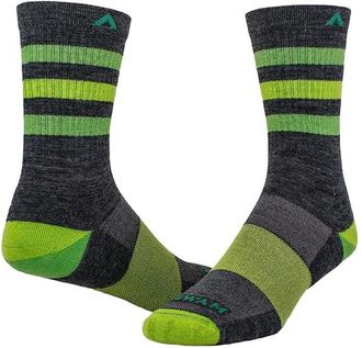 Wigwam Super Stripe Mid-Crew Quarter Length Socks Shoes Charcoal : XL (US Mens Shoe 12-15), Merino/Mesh/Nylon