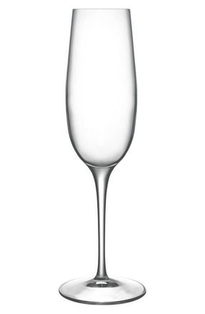 Luigi Bormioli Crescendo Set of 4 Champagne Flutes in Clear at Nordstrom