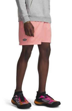 Under Armour Icon Mesh Shorts in Posh Pink at Nordstrom, Size Xx-Large