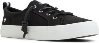 Sperry Top-Sider Cove Lace-to-Toe Sneaker in Black at Nordstrom, Size 10