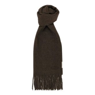 Agnona Accessoires, Dames, Bruin, ONE Size, Kasjmier, Zijden Kasjmier Sjaal met Franjes