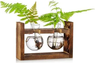 OEM Jarr&oacute;n De Cristal Con Forma De Bellota Para Flores, Terrario O Maceta Con Soporte De Madera