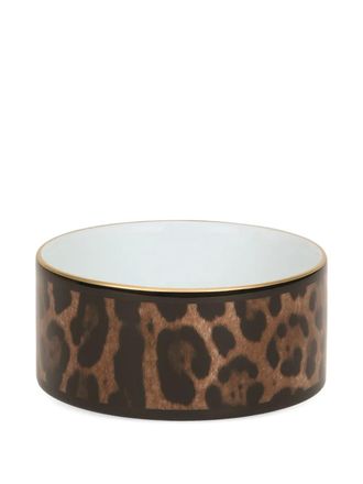 Dolce & Gabbana Scatola leopardata - Marrone