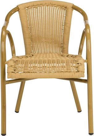 Safavieh Dagny Arm Chair