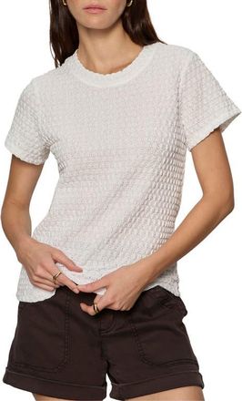 Sanctuary Perfect Puckered Lace T-Shirt in White at Nordstrom, Size X-Small P