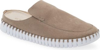 Ilse Jacobsen Tulip 3420 Mule in Falcon at Nordstrom, Size 39