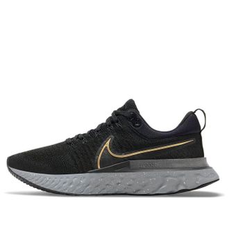 Nike React Infinity Run Flyknit 2 Black Metallic Gold CT2357-009