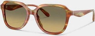 Coach Oval Square Sunglasses