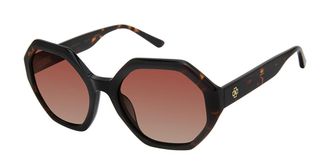 ANN TAYLOR ATP923 Polarized C01 Womens Sunglasses Tortoiseshell Size 52