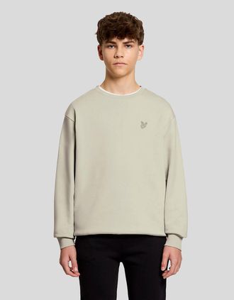 Lyle & Scott Lyle And Scott Mens Heavyweight Cotton Sweatshirt - Tan - Size: 12/13 y