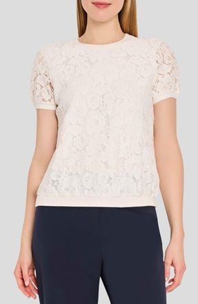 Tahari by ASL Lace Front Sweater in Ivory at Nordstrom, Size X-Large P