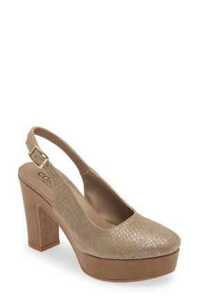 Cordani Torrie Platform Slingback Pump in Champagne/fango at Nordstrom, Size 9Us