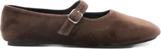 Virreina Ballerine con cinturino - Marrone