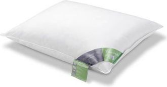 Vandyck donzen hoofdkussen medium (Pure Nature) (60x70 cm)