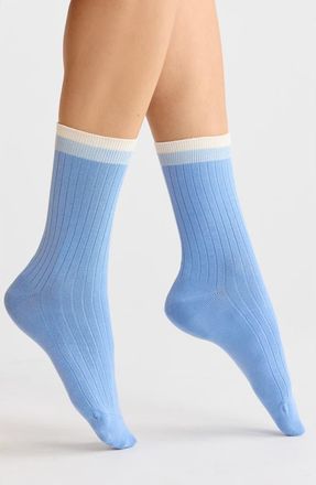 Nordstrom Tipped Wide Rib Dress Socks in Blue Cornflower at Nordstrom, Size 9