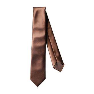 Dolce & Gabbana Ties, male, Brown, Size: ONE SIZE Satin Wide Adjustable Necktie