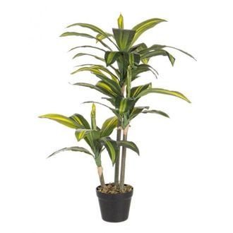 BIZZOTTO Bizzotto - Planta Dr&aacute;cena En Maceta 88 Cm 43 Hojas