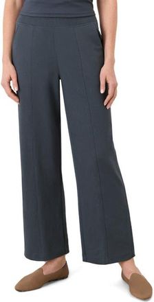 Pact Organic Cotton Airplane Pintuck Wide Leg Pant in Steel Blue at Nordstrom, Size Xx-Large 26
