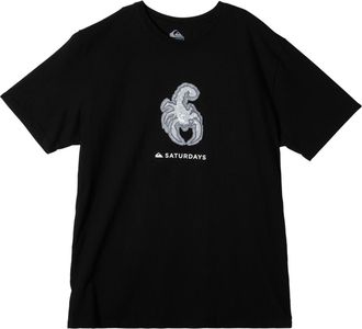 Quiksilver T-Shirt QUIKSILVER Snyc Graphic, Herren, Gr. M, schwarz, Obermaterial: 100% Baumwolle;, Shirts T-Shirt