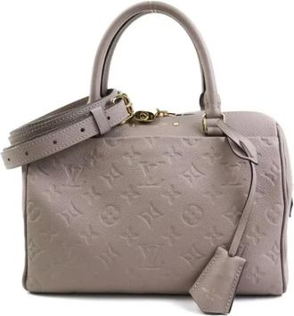 Louis Vuitton Pre-owned Handbags, female, Purple, Size: ONE SIZE Pre-owned Fabric louis-vuitton-bags