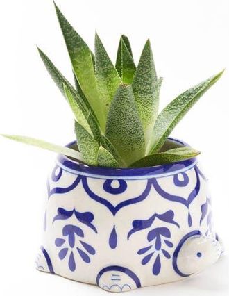 Matr Boomie Lalita Mama Turtle Succulent Planter in Multicolor at Nordstrom