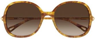 Chlo&eacute; 57mm Gradient Round Sunglasses in Shiny Havana Blonde at Nordstrom