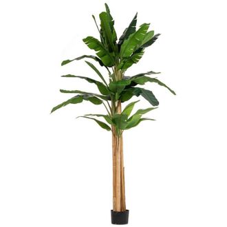 BIZZOTTO Bizzotto - Pianta artificiale Banano con vaso nero, foglie in gomma, realistica -200 cm - 20 foglie