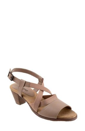 Trotters Meadow Ankle Strap Sandal in Taupe at Nordstrom, Size 10.5