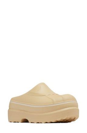 Sorel Caribou Clog in Caribou Beige/Caribou Beige at Nordstrom Rack, Size 10