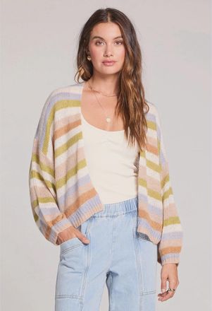 Saltwater Luxe Aden Sweater In Multi