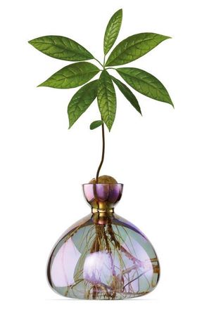 Ilex Studio Glass Avocado Vase in Vega Iridescent at Nordstrom