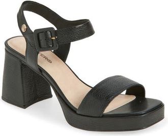 Bottero Britnet Ankle Strap Platform Sandal in Preto at Nordstrom, Size 10