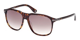 BMW BW0036 52P Mens Sunglasses Tortoiseshell Size 58