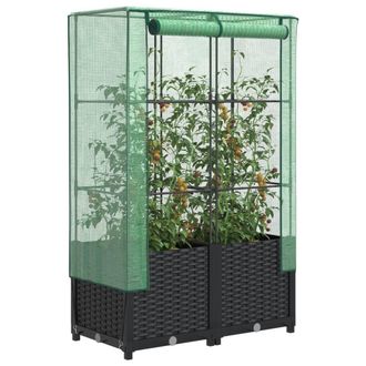 Berkfield Home Raised Bed with Greenhouse Cover Rattan Look 80x40x138 cm in Black | Size: 80 x 40 x 138 cm