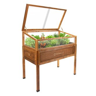 OEM Mini Invernadero Con Cubierta Para Balc&oacute;n Y Terraza 110x55x120 Cm Greenspot - Invernadero Sobre Plataforma De Madera, Cama Elevada De Madera, Marco Fr