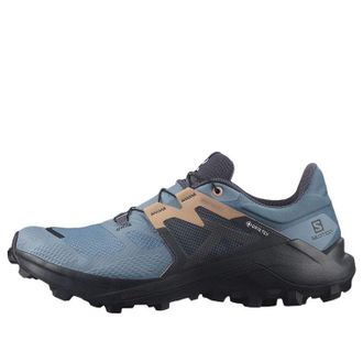 Salomon (WMNS) Salomon Wildcross 2 Gore-Tex 414579