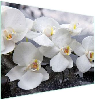 OEM Placa Protectora De Vidrio Para Estufa 70x52 Orqu&iacute;dea